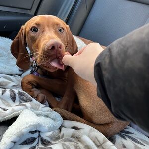 Meet your Posher, Jalyn